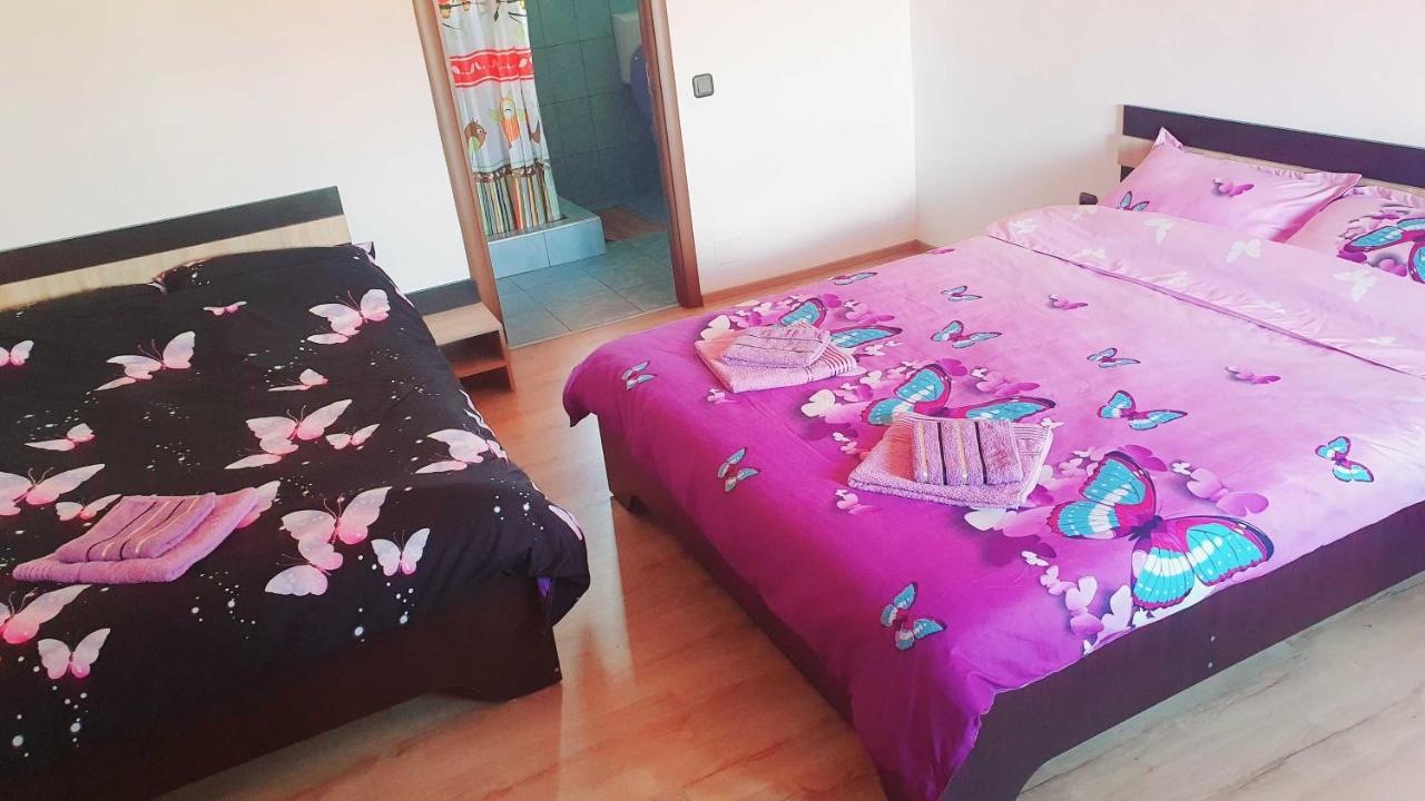 Apartmán Vila Karina Carta  Exteriér fotografie